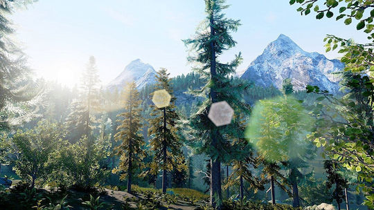 Hunting Simulator Switch-Spiel