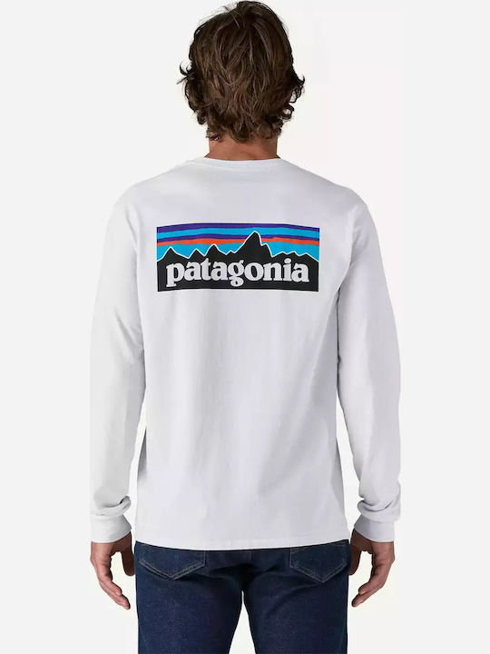 Patagonia