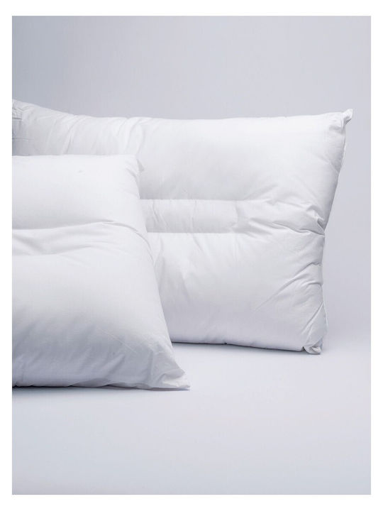 Palamaiki Comfort Aloe Vera Pernă de Dormit Anatomică cu Silicon 50x70cm