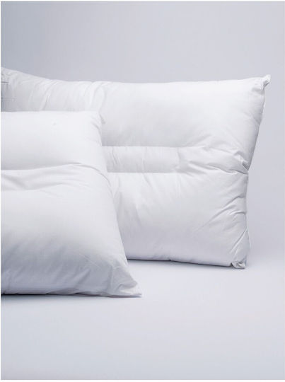 Palamaiki Comfort Aloe Vera Σιλικόνης Ανατομικό 50x70cm