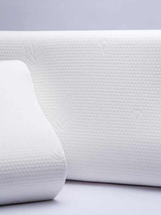 Palamaiki Orthopedic Aloe Vera Μαξιλάρι Ύπνου Memory Foam Ανατομικό 50x70cm