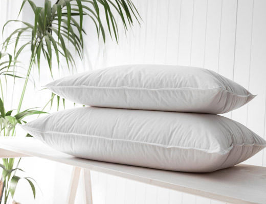 Vesta Home Royal Kopfkissen Gefiedert 50x70cm