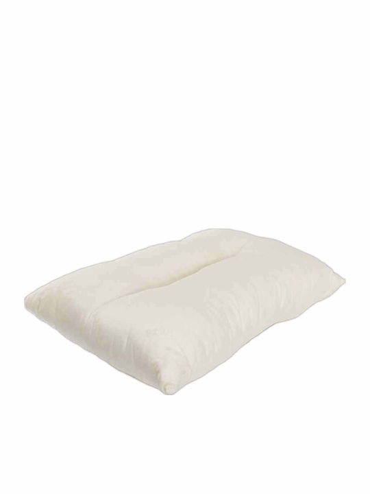 Idilka Perna Pat Aloe Vera Latex Anatomic 45x65cm