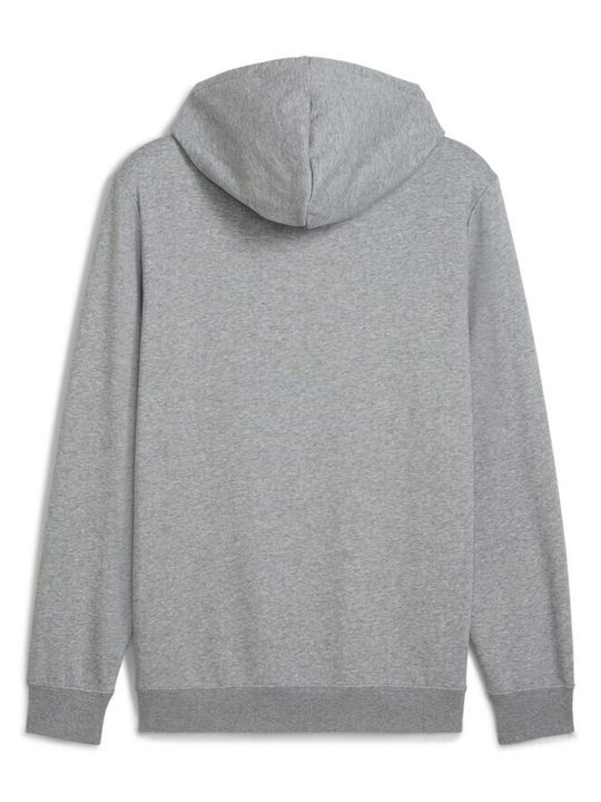 Sweatshirt mit Kapuze Gray