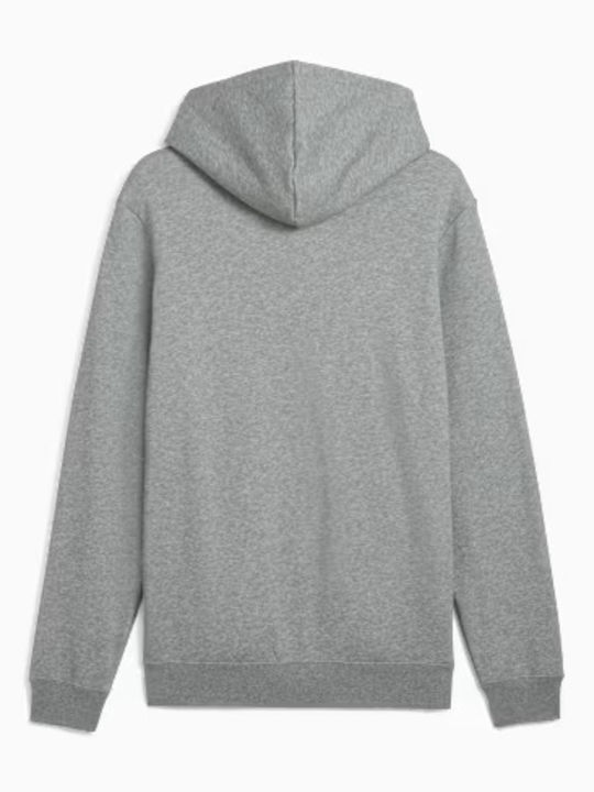 Essential Sweatshirts Für Herren Mit Kapuze Graue
