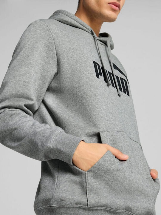 Sweatshirt mit Kapuze Gray