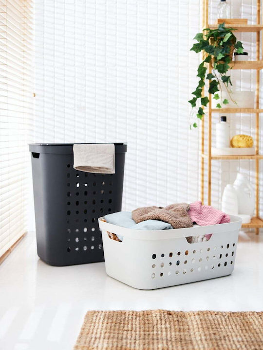 Rotho Babydesign Перилна Кошница Пластмаса с Капак Сив
