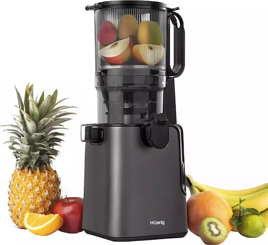 HKoenig Storcător de fructe Presare lentă 250W Negru