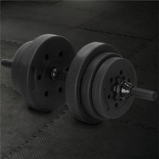 Set de gantere cu bară, greutate totală 19kg