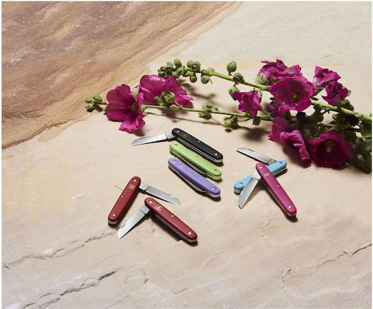 Victorinox Floral Cuțit Roz