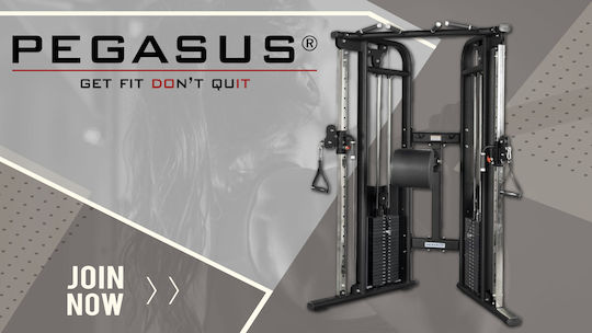 Pegasus Functional Trainer Πολυόργανο Γυμναστικής