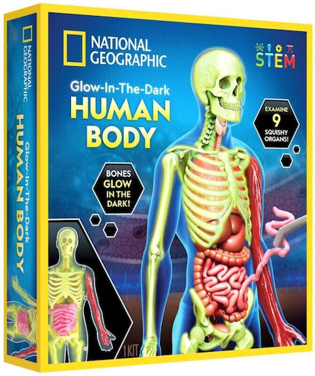 National Geographic Human Body Образователна Игра Образователни