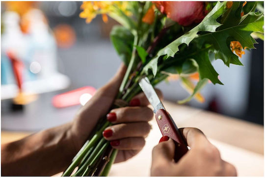 Victorinox Floral Pocket Knife 1 Tool Red