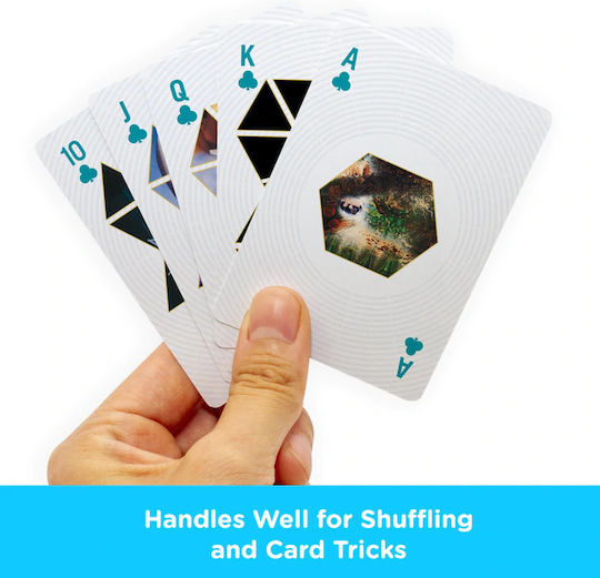 Aquarius Pink Floyd Collectible Playing Cards Laminated Black
