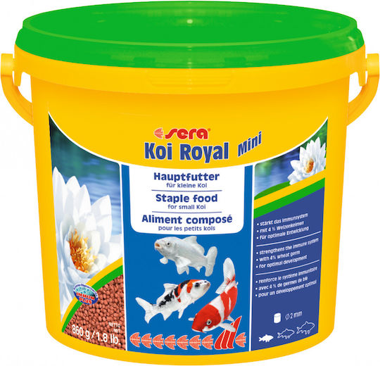 Sera Royal Mini Nature Τροφή για Ψάρια Γλυκού Νερού σε Κόκκους 3800ml 1100γρ.