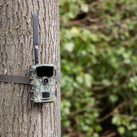 Rollei Rollei Wildlife Κάμερα Κυνηγιού Νυχτερινής Λήψης με Ανίχνευση Κίνησης