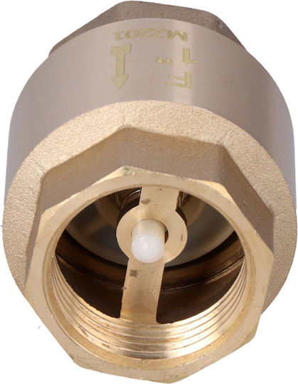 1 Inch Check Valve