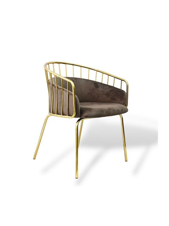 Scaune Sala de mese Gold, Velvet, Brown 1buc 83x62x50buc