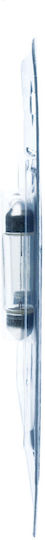 Bosch Bosch Autolampen C10W / SV8.5-8 Halogen Gelbe 12V 10W 2Stück