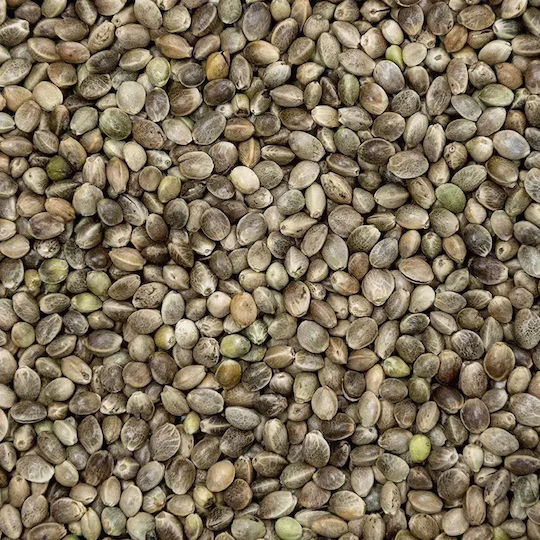 Pico Canapa Piccola Καναβούρι Micro Ψιλό 800g 5kg