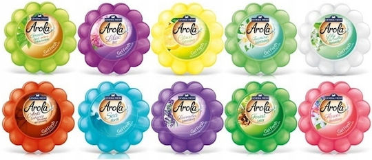 General Fresh Fragrance Gel with Fragrance Pumpkin 150gr