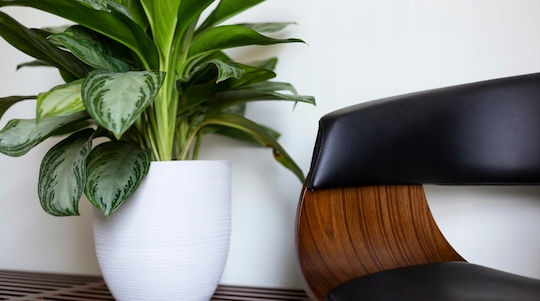 General Fresh Αρωματικό Spray με Άρωμα Λεβάντα 40ml