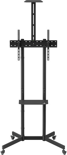 Maclean Energy MC-113 B Βάση Τηλεόρασης Δαπέδου έως 70"