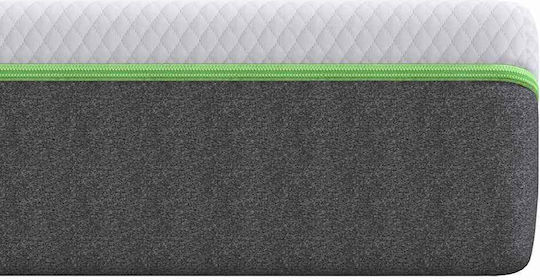 vidaXL Единичен Анатомичен Матрак 80x200x20см