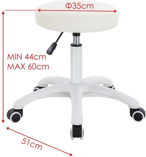 Salon Stools Scaun