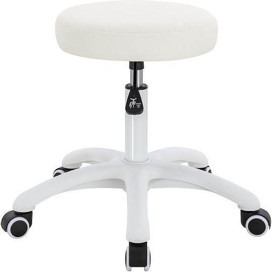 Salon Stools Scaun