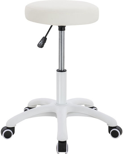 Salon Stools Scaun