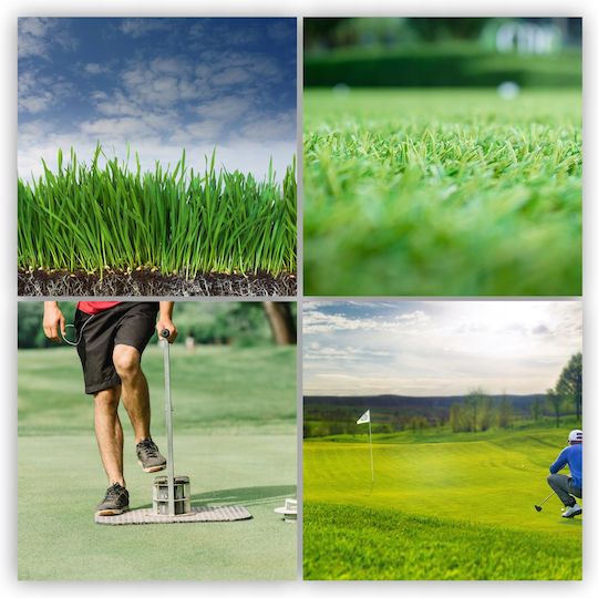 Kadax Universal Fast-Growing Grass Seeds Lawns Resistant 10kg 400m2