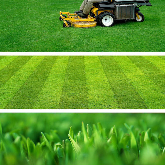 Kadax Universal Fast-Growing Grass Seeds Lawns Resistant 10kg 400m2