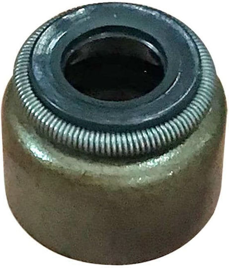 Вентили Kawasaki Kazer 115cc Гнезден 38876