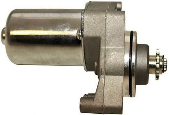 W Standard Μίζα Μοτοσυκλέτας για Honda GLX για Triumph Daytona 106528