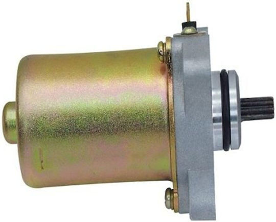 W Standard Motorcycle Starter Motor for Kawasaki JOY-R for Modenas Kriss / X-CITE 100975