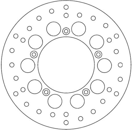 Ferodo Back Brake Disc for Aprilia Scarabeo Triumph Sprint