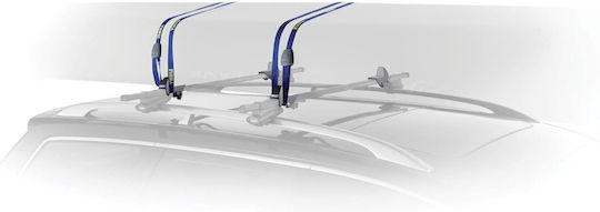 Thule Carrier