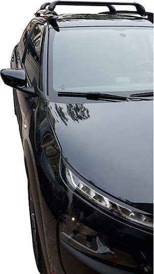 Nordrive für Citroen C4 Kaktus 2014-2020 (mit Dachträgerfüßen)