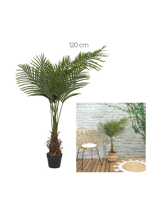 Φοίνικας σε Γλάστρα 120cm The Home Deco Factory