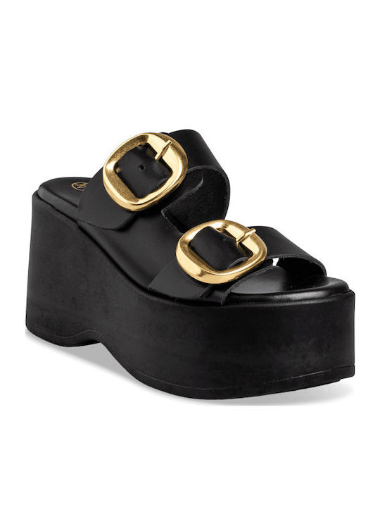 Envie Shoes