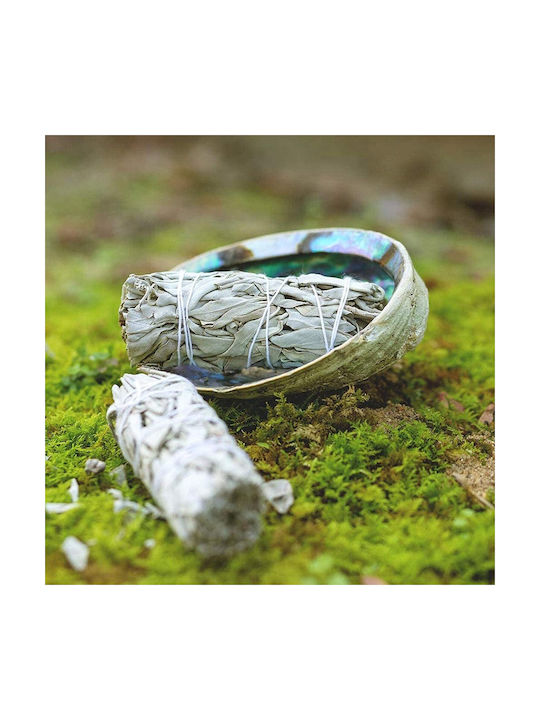 White Sage Smudge Stick 10χ3cm 2 Ραβδιά Θυμιάματος Λευκό Φασκόμηλο