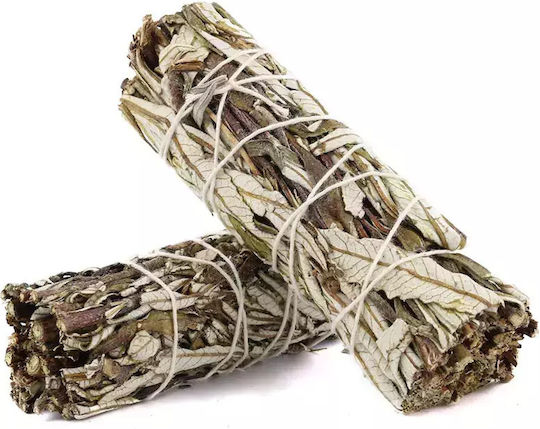 Yerba Santa Räucherstäbchen 10x3cm Räucherstäbchen Yerba & Salbei