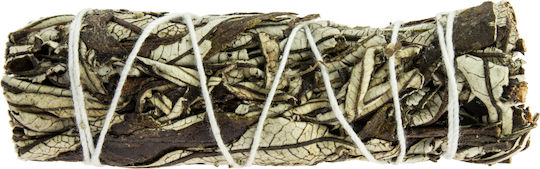 Yerba Santa Räucherstäbchen 10x3cm Räucherstäbchen Yerba & Salbei