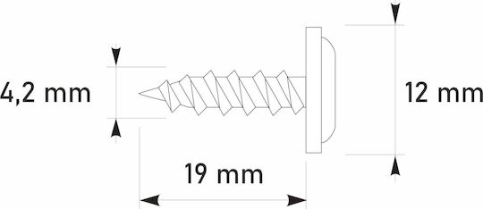 Etanco Screw with Diameter M4.2 and Length 19mm 250pcs