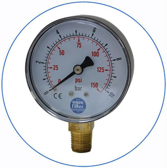 Aqua Filter Wasserfiltrationssystem Zentrale Versorgung Durchmesser 1'' mit Ersatzfilter Aqua Filter FCCBL-S Kohle BBCBLG10