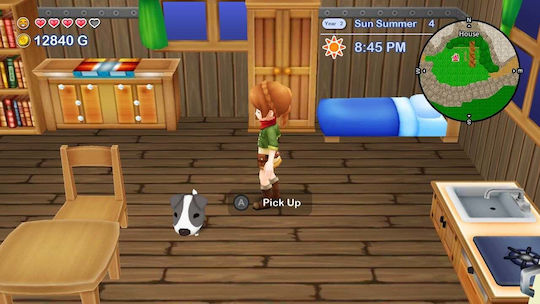 Harvest Moon:The Lost Valley & Skytree Village Collector's Edition Switch Game