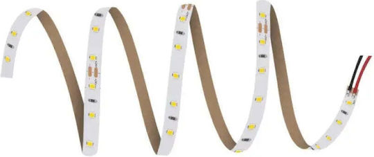 Ledvance LED Strip V-2000 24V Natural White Light 5m Type SMD2835