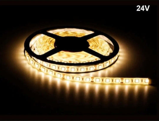 Vito LED Strip 24V Warm White Light 5m Type SMD2835