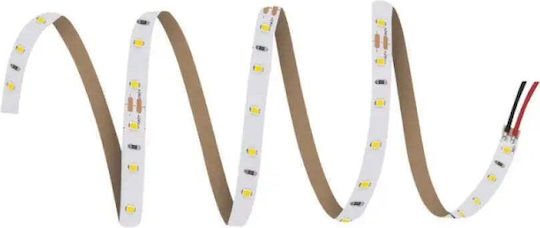 Ledvance Bandă LED 24V Alb Rece Lumină 5m Tip SMD2835
